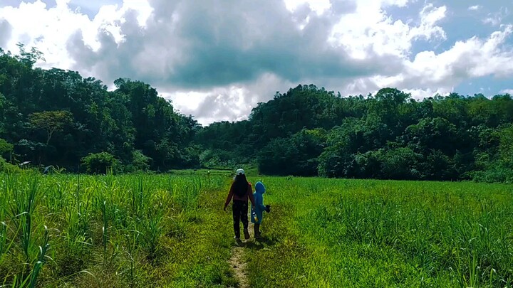 farm life. happy life