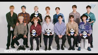 SEVENTEEN 'ANANWEB INTERVIEW'