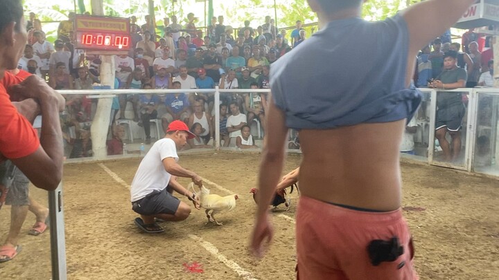 ang aming white maganda ang sayaw kaso dumikit sa salamin ayun… standing KO..