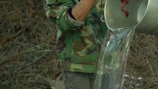 วิธีดั้งเดิมในการหมักเหล้ามันเทศหนึ่งไห