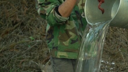 传统方法酿一坛地瓜酒