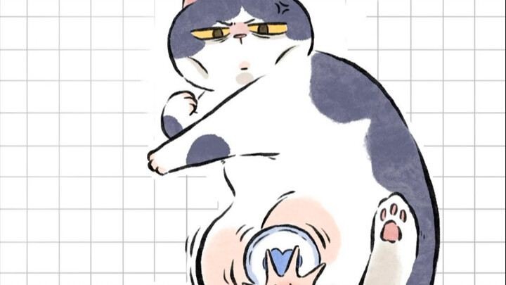 猫“再忍忍……她总有睡着的时候”