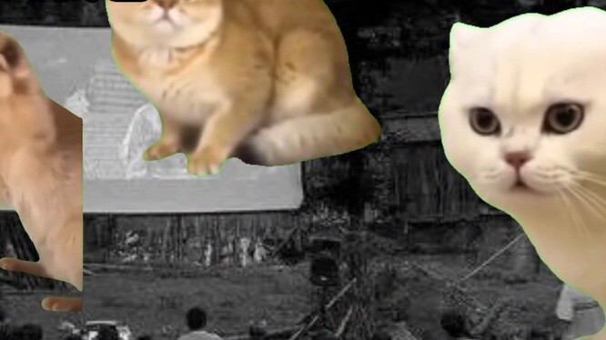 (Cat meme) Me and my parents