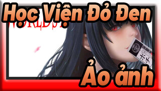 Học Viện Đỏ Đen |【AMV】Ảo ảnh