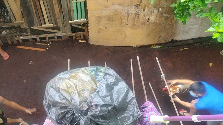 Dancing White Choco vs 2 times Winner White kelso