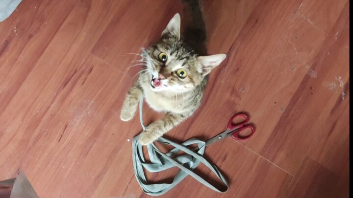 She’d been missing for over three months—only after comparing photos did I finally recognize her.