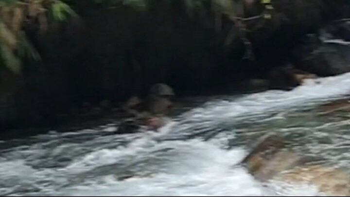 cast netting in Nepal | himalayan trout fishing with handmade cast net |