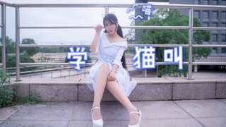 【kazami】学猫叫【土味肥猫·新星计划】