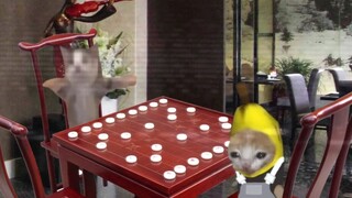 The Disappearing Banana Cat