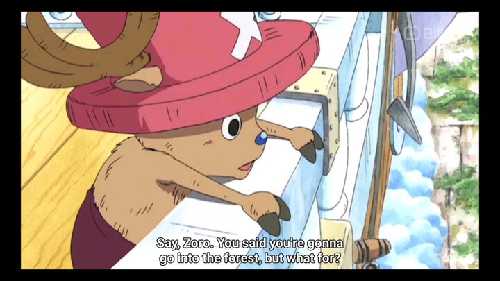 Chopper idolizes Zoro