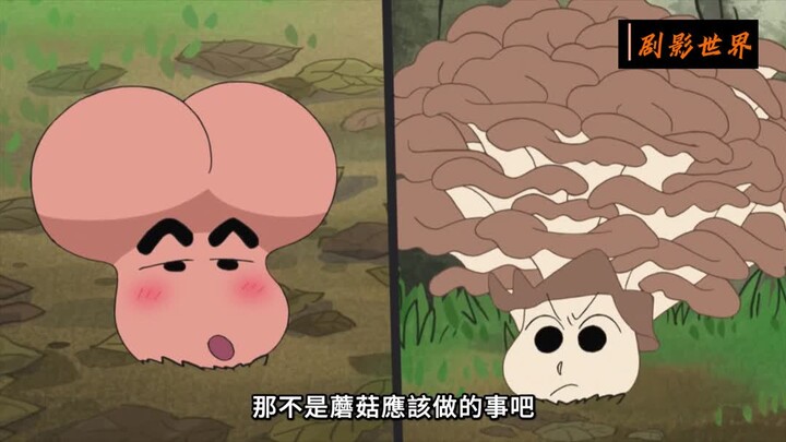第153集  我们是蘑菇