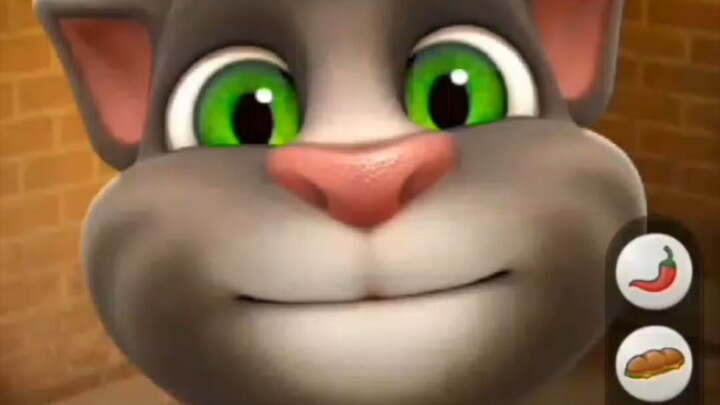Talking Tom Cat
