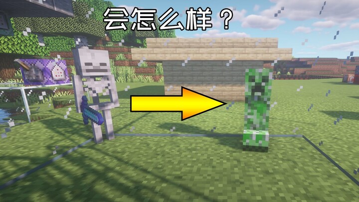 Apakah kerangka yang membunuh creeper dengan pedang akan menjatuhkan piringan hitam? 【Lucu 1256】