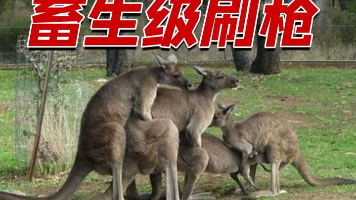Animal-level gun-flashing!