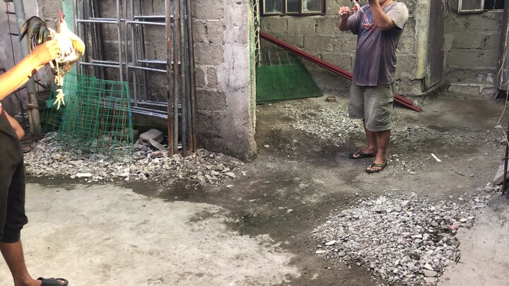 dayo dayo tinola line hindi man lang nasugatan 2x winner