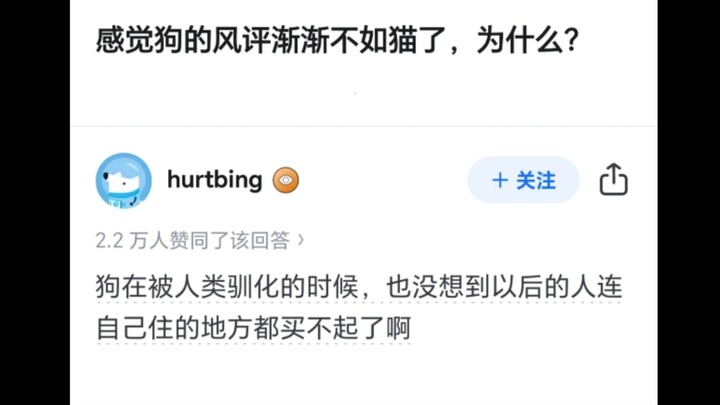 أشعر أن سمعة الكلاب بدأت تضعف مقارنة بالقطط، لماذا؟