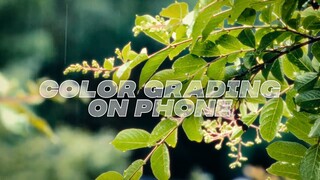 Professional Color Grading APP - 2023 | IPhone 13 Review