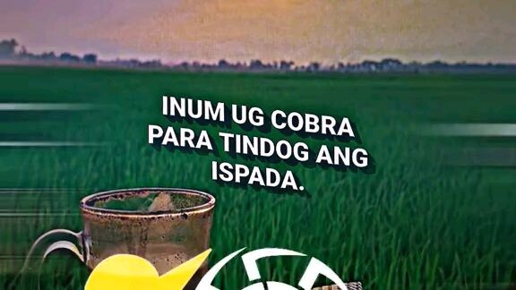 tumawa mons tayu🤣