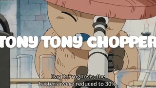 Top 7 Bác Sĩ Vĩ Đại Nhất One Piece p6