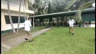 Mihawk vs Ryuma