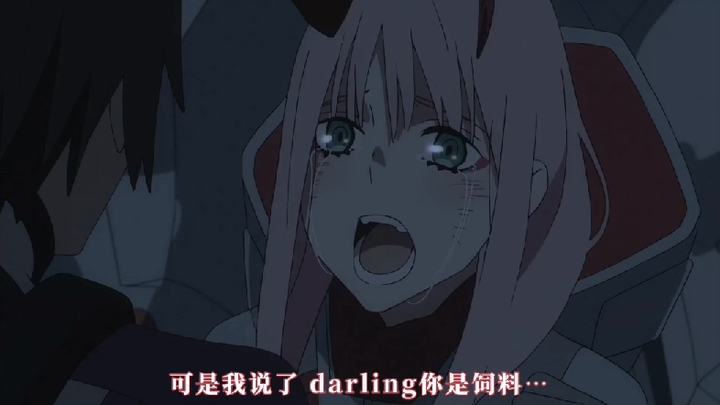 【国家队】darling，幸好我遇见的是你