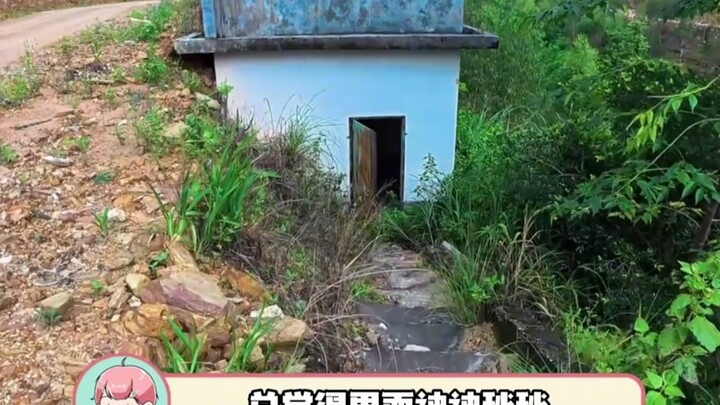 Cứ tưởng chỉ là trông coi cổng cho vui, ai ngờ lại là biên chế nhà nước_#Đậu!