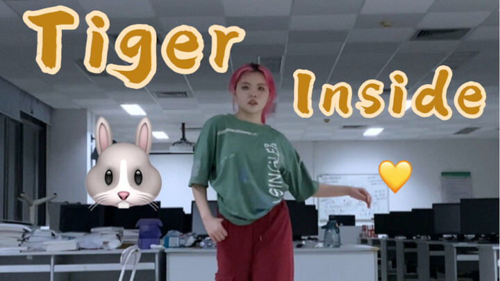 不装了我是糯粉！tiger inside丝滑翻跳…
