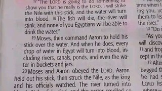 Daily Verse.                  Exodus 7:14-24