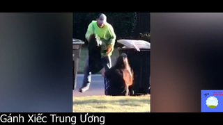 Chuyến đi hốt rác bão tố #funny