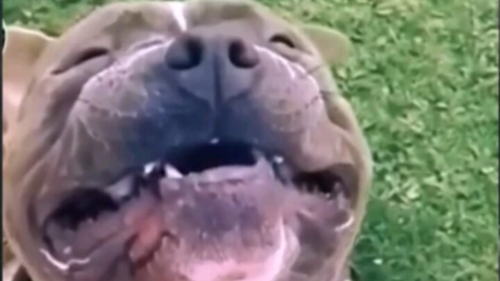 ชั่วพริบตาเดียวลิ้มรสทุกรสชาติในโลก