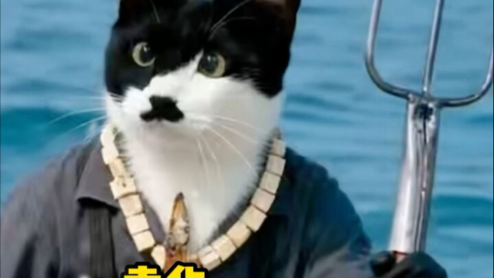 Tam Xoa Trận, tàu tôi đã đưa hết rồi mà, vậy thì khâu nào gặp vấn đề vậy?