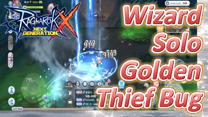 [Ragnarok X: Next Generation] Wizard Solo Golden Thief Bug