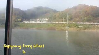 지진희 Actor Ji Jin Hee in 남이섬 NAMI ISLAND                                    #seoulkorea #travel #지진희