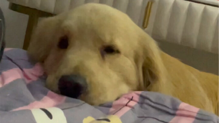 Let me show you our ancestral heirloom.