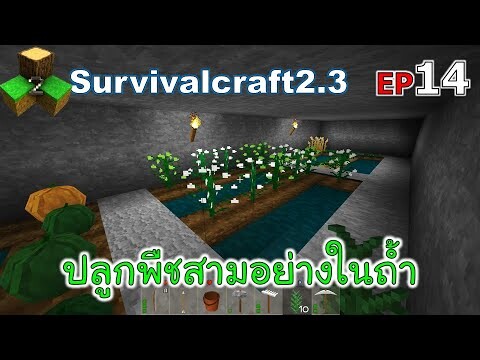 ปลูกพืชสามอย่างในถ้ำ Survivalcraft 2.3 ep.14 [พี่อู๊ด JUB TV]