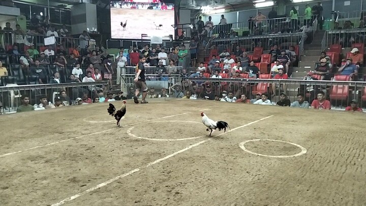 Sunday Hack Fight Kawayin Win @SantaMonicaCockpit