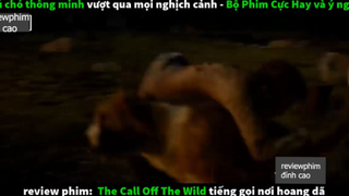tiếng gọi nơi hoang dã p4 #reviewphimdinhcao