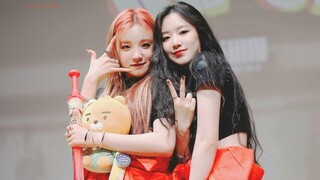 [GIDLE Cross-Strait] Serigala susu di bawah umur keluar! Yuqi Shuhua tentang kecepatan kemajuan oran