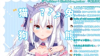 NoriPro未解之谜