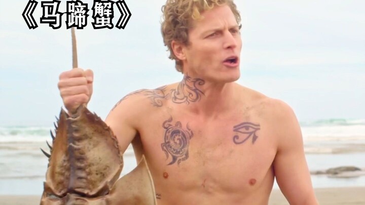 Pemuda di tepi pantai menemukan seekor kepiting tapal kuda, namun ternyata karena hal itu ia kehilan