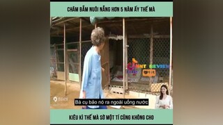 chú chó không cho chủ nhân chạm vào mình onhaxemtin nntreview2 mereviewphim reviewphimhay