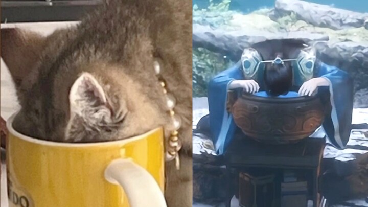 The wash basin is basic, but the way to wash your face is not basic...