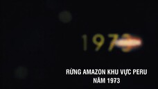 Quý Cô Mạng Nhện Full Movie [Sub Việt]