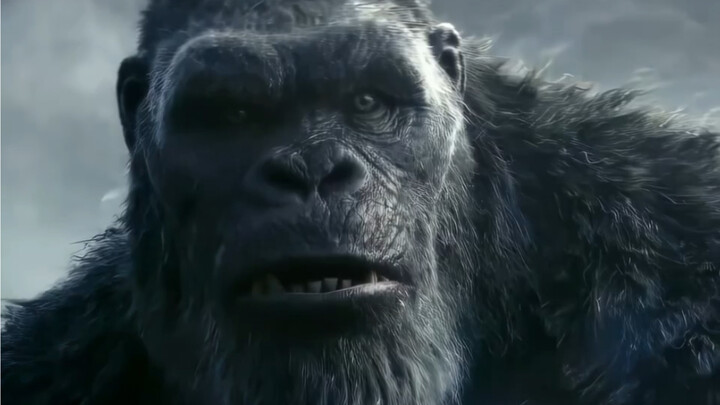 "Lawan Godzilla King Kong akan datang"