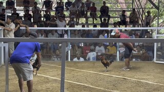 2nd fight loss 2hits Mariveles coliseum 6-13-25