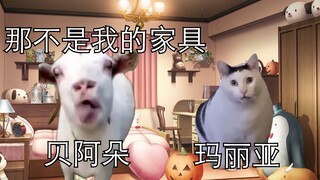 观后感第四章海猫猫memes