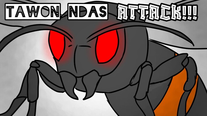 TAWON NDAS ATTACK!!!