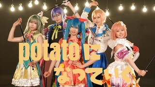 【プロセカ】ワンダーランズ×ショウタイム_potatoになっていく（变身土豆）【cosplay舞蹈】