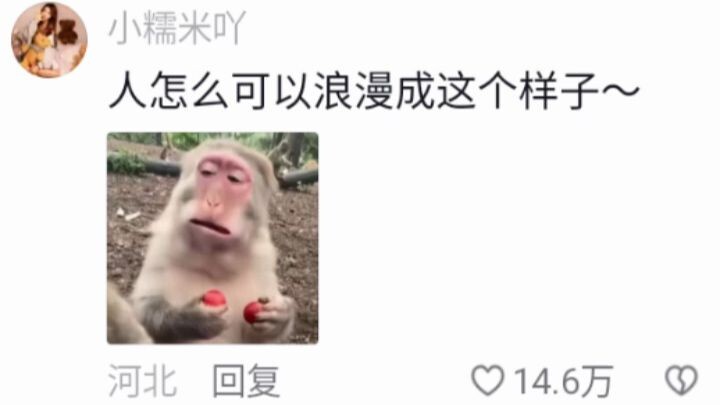 คนถึงจะโรแมนติกได้ขนาดนี้เลยเหรอ～