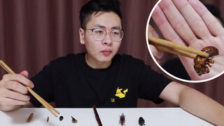 【Food】Eating 8 types of fried insects in one sitting.